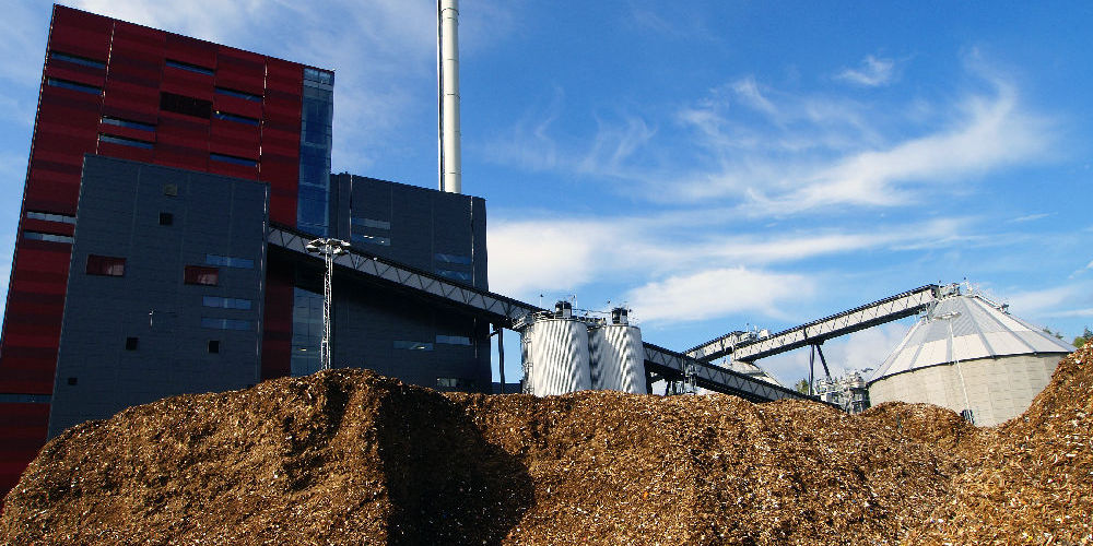Biomasse/Biocombustibili
