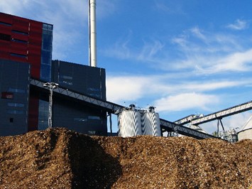 Biomasse/Biocombustibili