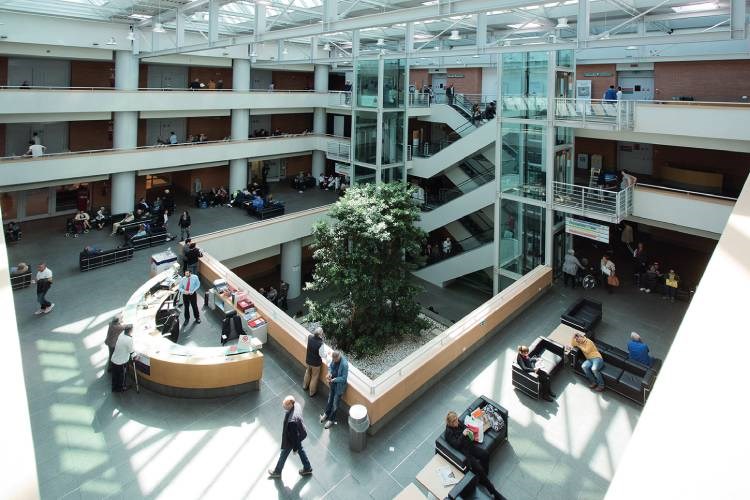 Campus Biomedico di Roma